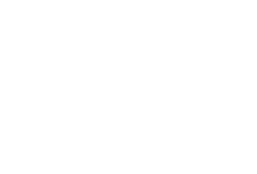 Liwa brand logo