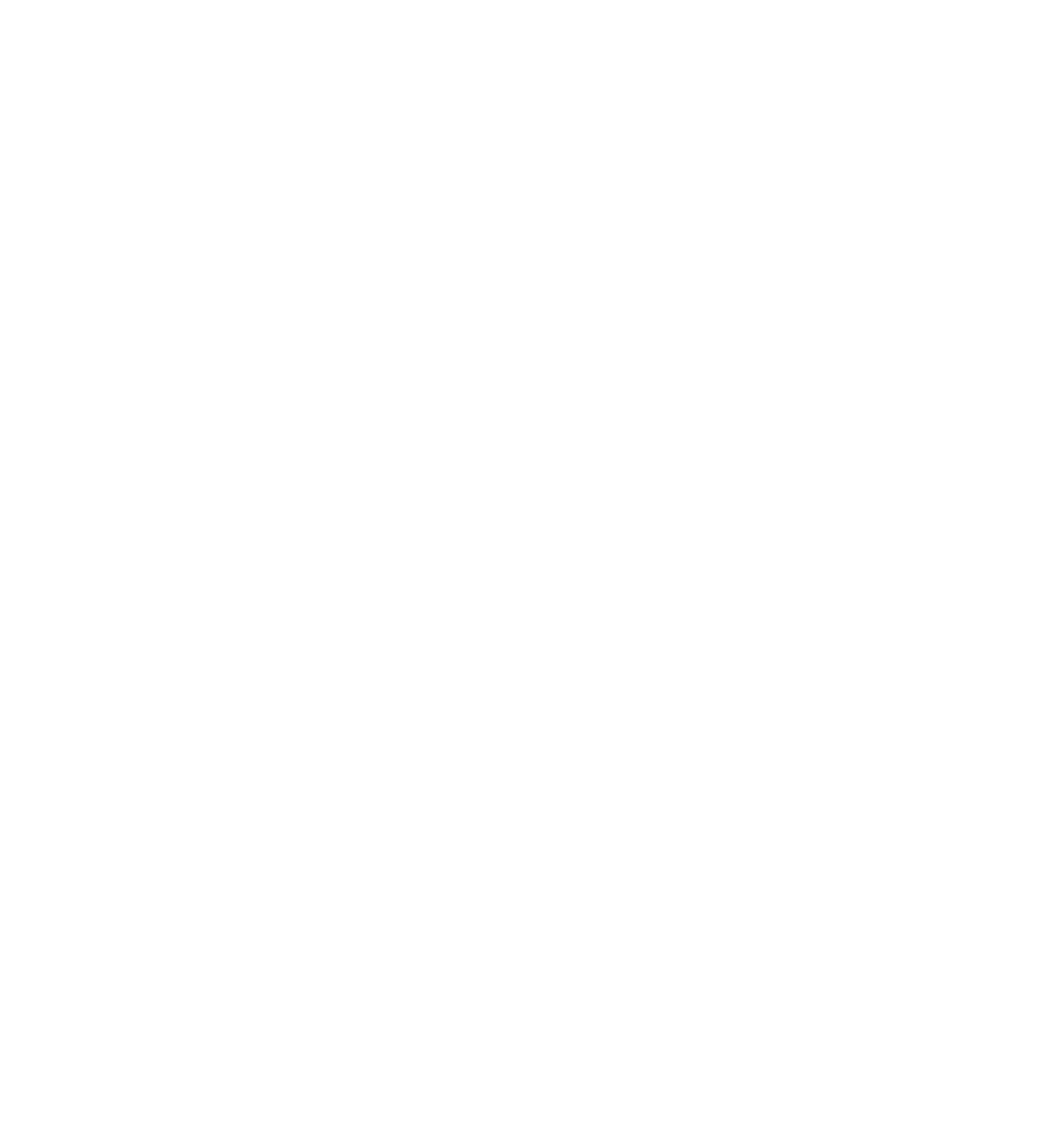 PRIMUS brand logo